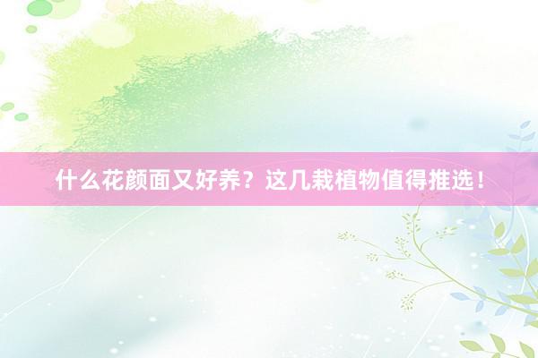什么花颜面又好养？这几栽植物值得推选！